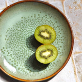 Petite assiette | Vert rivage