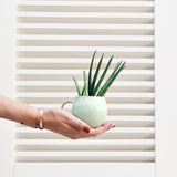 Mug moyen | Vert audacieux