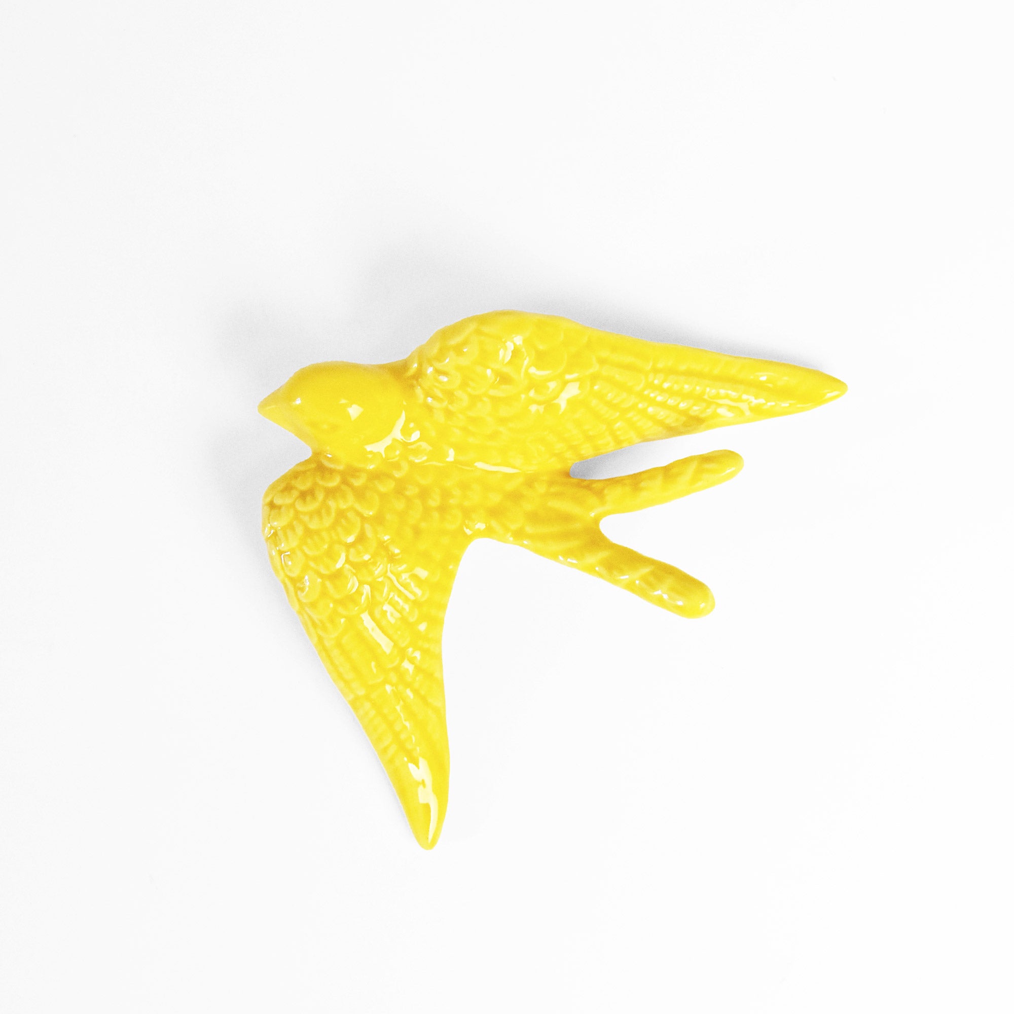 Une hirondelle