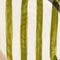 Petite assiette | Vert Linhas