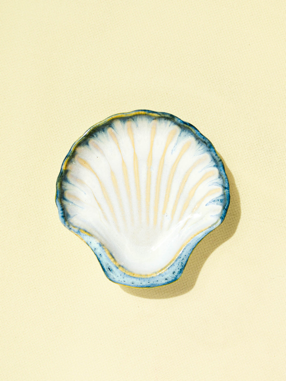 Coquillage Nazaré | Vert de mer
