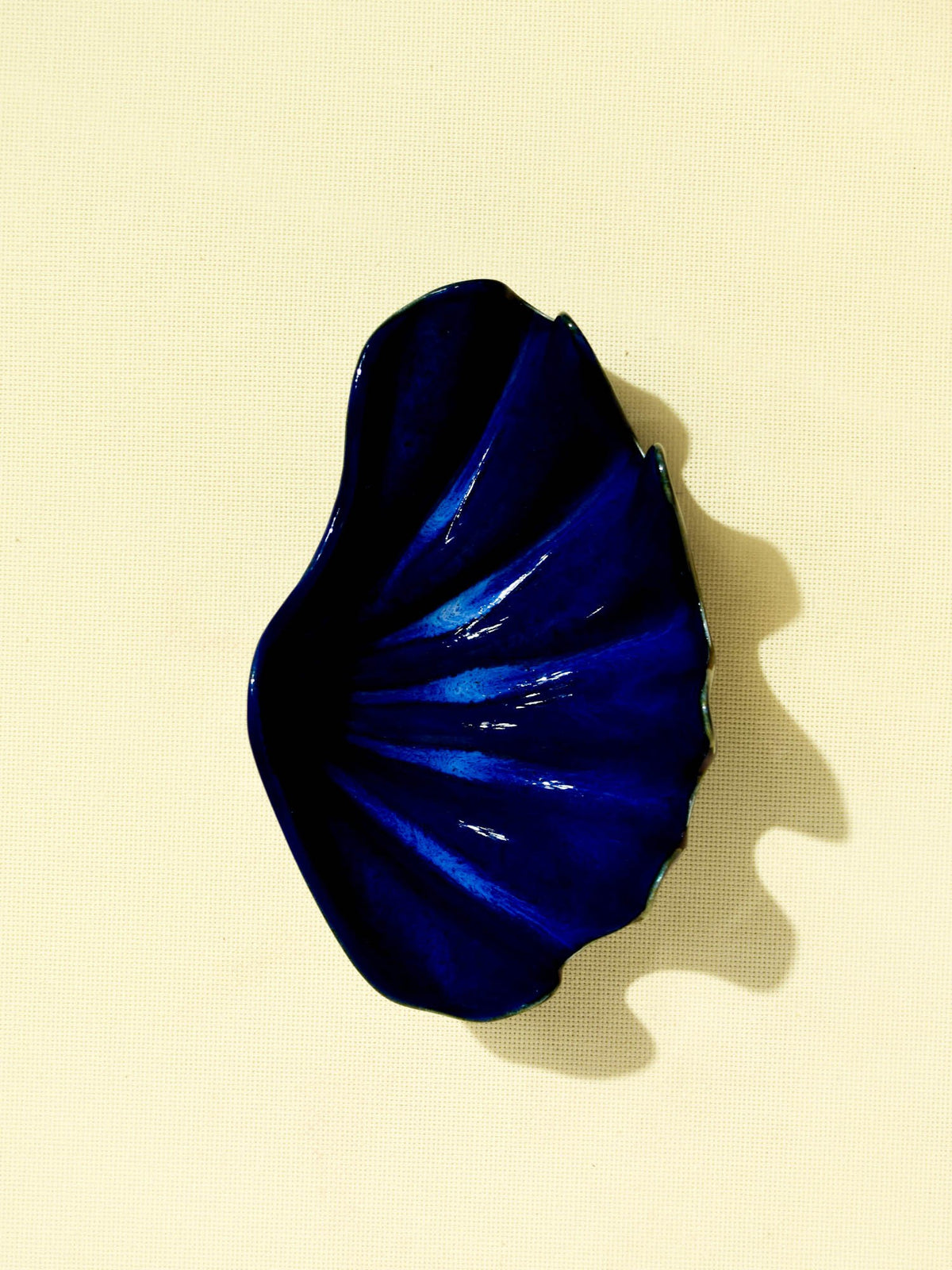 Coquillage Comporta | Bleu oceano