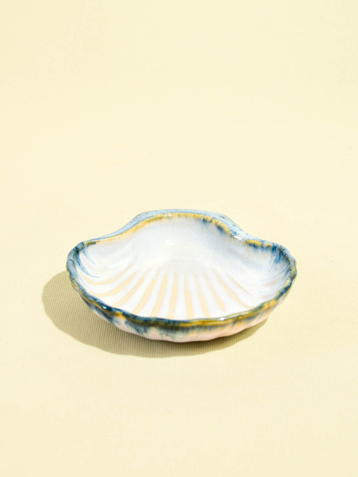 Coquillage Nazaré | Vert de mer