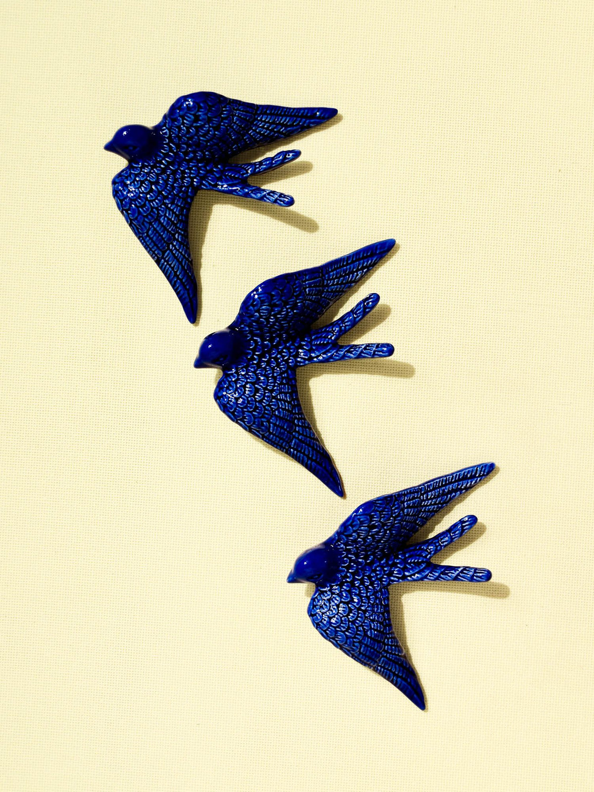 Grande hirondelle | Bleu