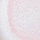 Rose pastel