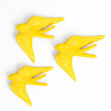 Grande hirondelle | Jaune